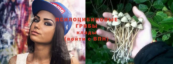 марки nbome Алексеевка